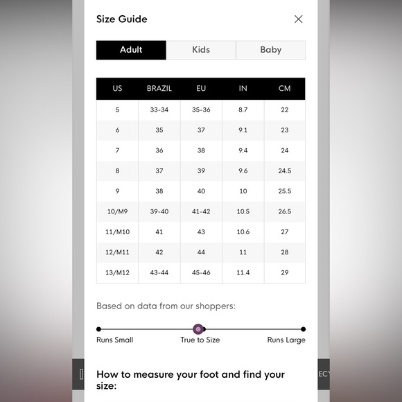 Melissa dark maroon rubber boot - Picture 5 of 5